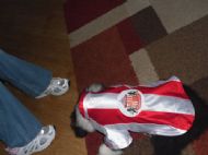 Do you like my new top?